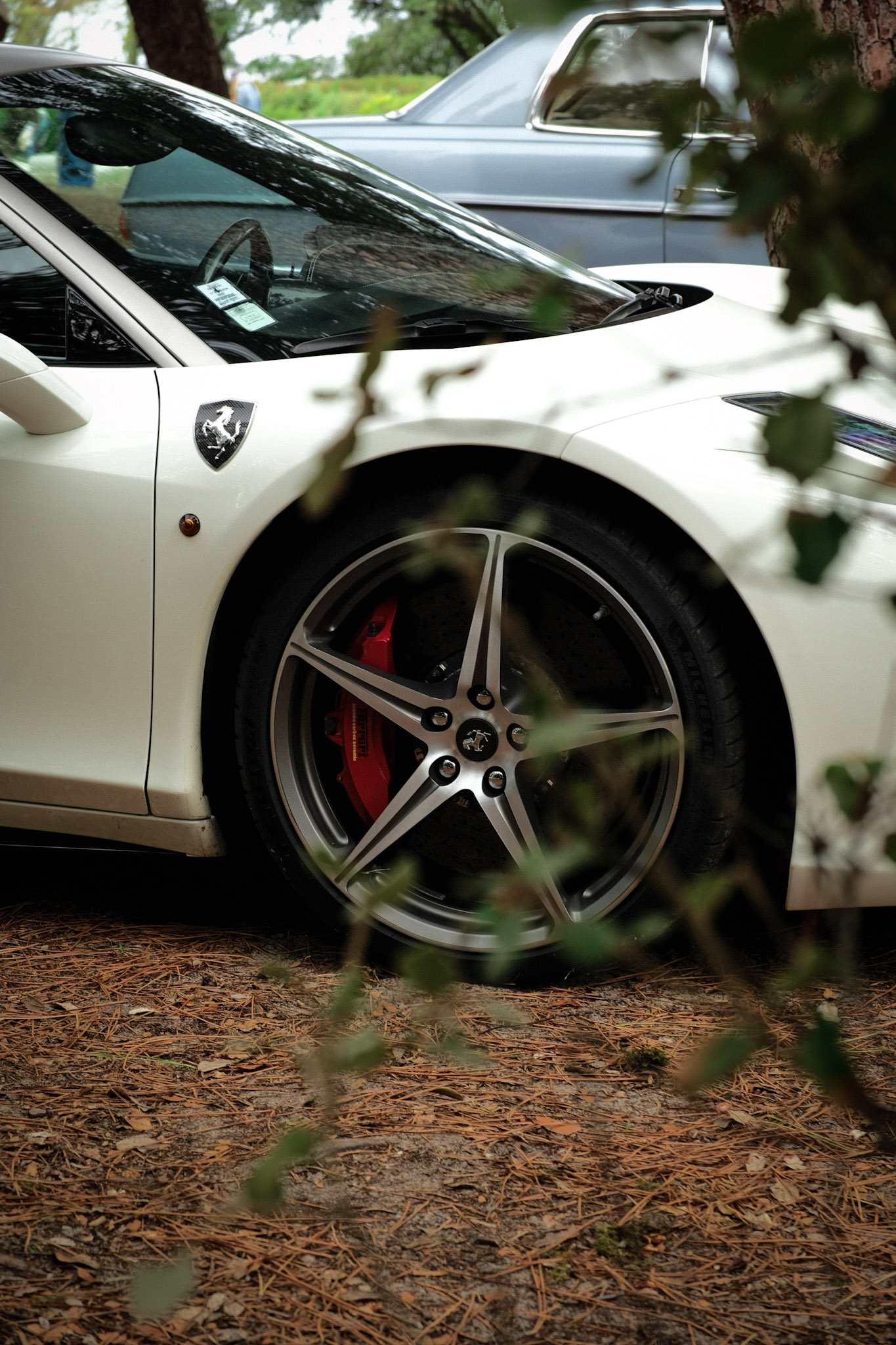 Aile avant et roue d'une Ferrari 458 Italia blanche, photographiées à travers les branches