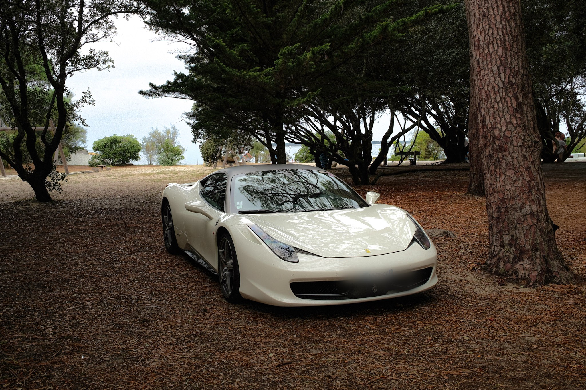 Ferrari 458 Italia blanche photographiée sous les pins